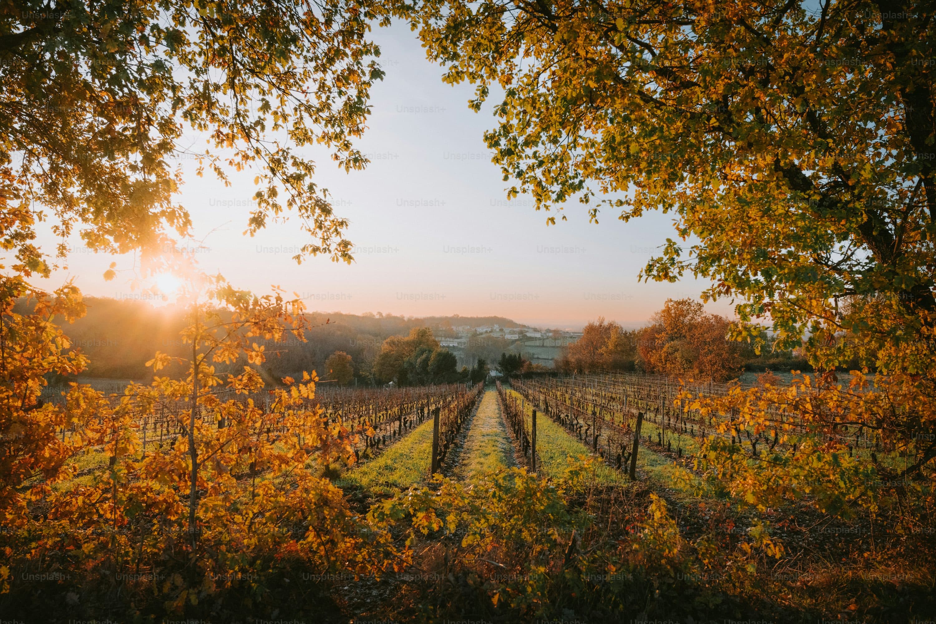 Bordeaux, Basque Coast & Bilbao